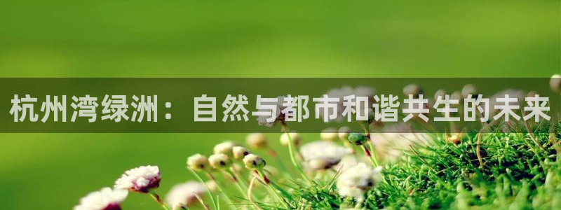 必一体育手机下载