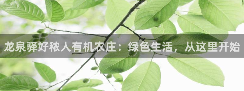 必一运动短信