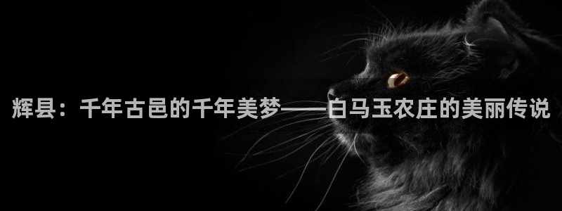 必一运动体