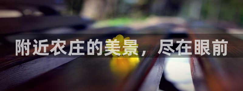 必一体育游戏玩法