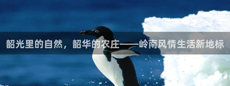 必一体育流水线是什么意思