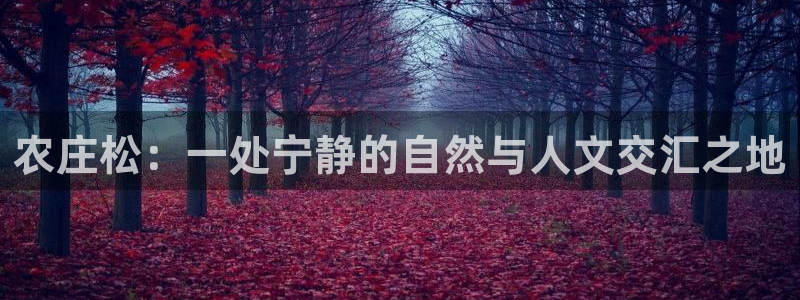 必一体育电子app