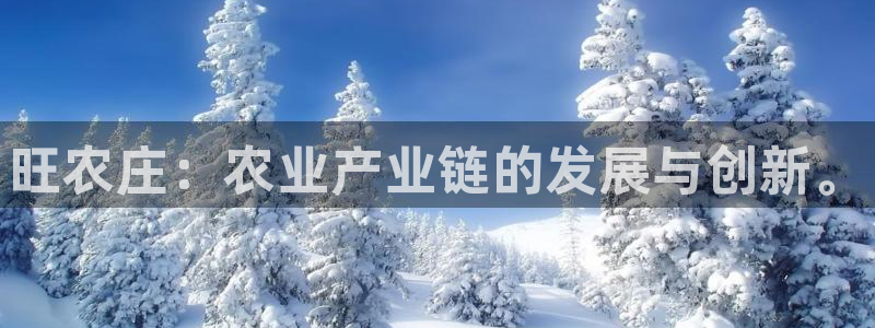 必一运动 b 体育素描版